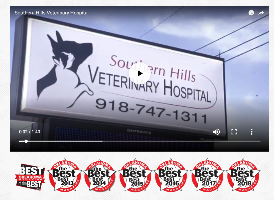 vet case study video and awards