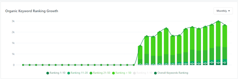 Case Study Driving Visibility Through Seo