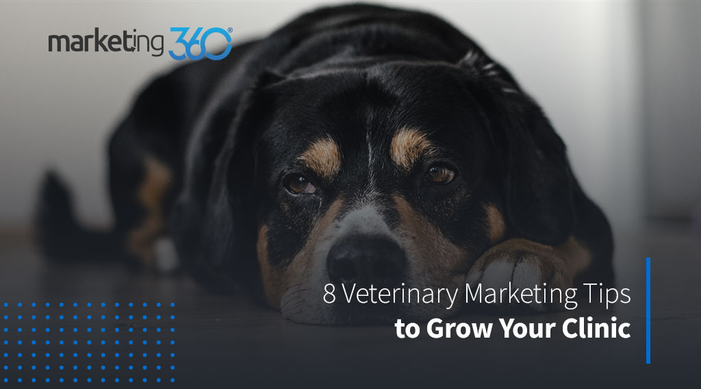 8 Veterinary Marketing Tips to Grow Your Practice